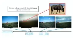 Google新算法利用时间上下文资讯，改善从相机陷阱照片辨识动物的能力