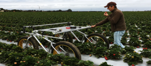 发展运算农业，Alphabet射月专案公开智慧农业AI机器人