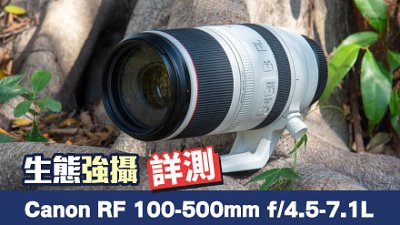 生态强摄，Canon RF 100-500mm f/4.5-7.1L IS USM 详测