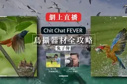【直播预告】Chit Chat FEVER: 【兔子俾】鸟摄器材全攻略