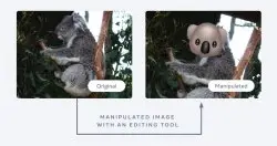 脸书释出图像相似性资料集，促进图片变造侦测技术发展