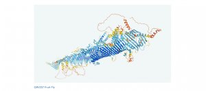 DeepMind开源人类史上最完整的蛋白质结构数据库